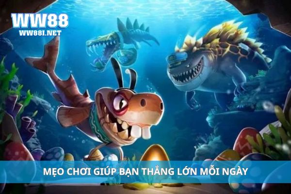 Mẹo chơi giúp bạn thắng lớn mỗi ngày