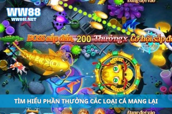 Tìm hiểu phần thưởng các loại cá mang lại