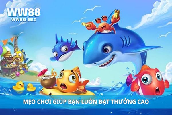 Mẹo chơi giúp bạn luôn đạt thưởng cao