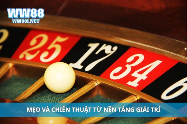 Mẹo và chiến thuật từ nền tảng giải trí