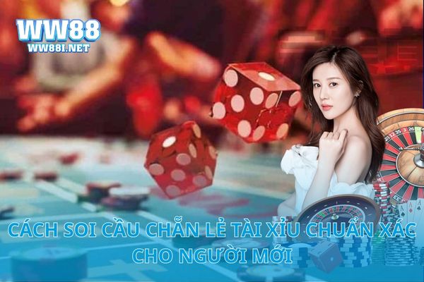 Cách Soi Cầu Chẵn Lẻ Tài Xỉu Chuẩn Xác Cho Người Mới
