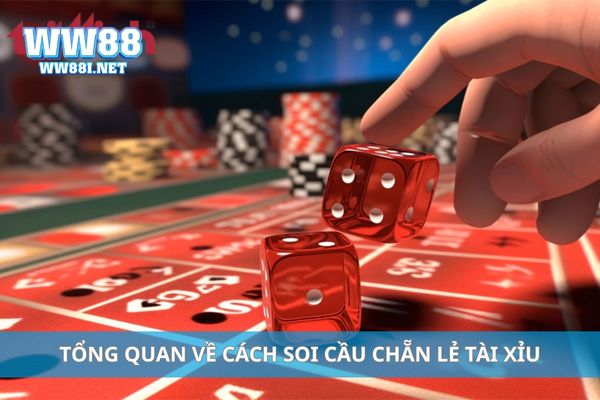 Tổng quan về cách soi cầu chẵn lẻ tài xỉu