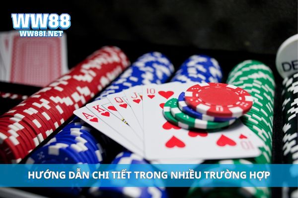 Hướng dẫn chi tiết trong nhiều trường hợp