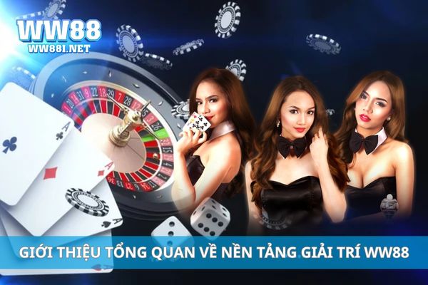 Giới thiệu tổng quan về nền tảng giải trí WW88
